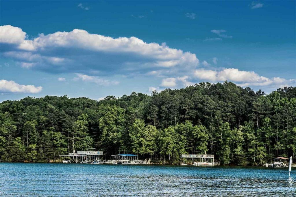 Lake Lanier's #1 Realtor- Living On Lake Lanier